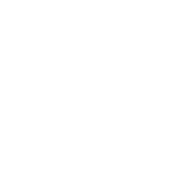 260_1-shape
